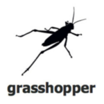 Grasshopper